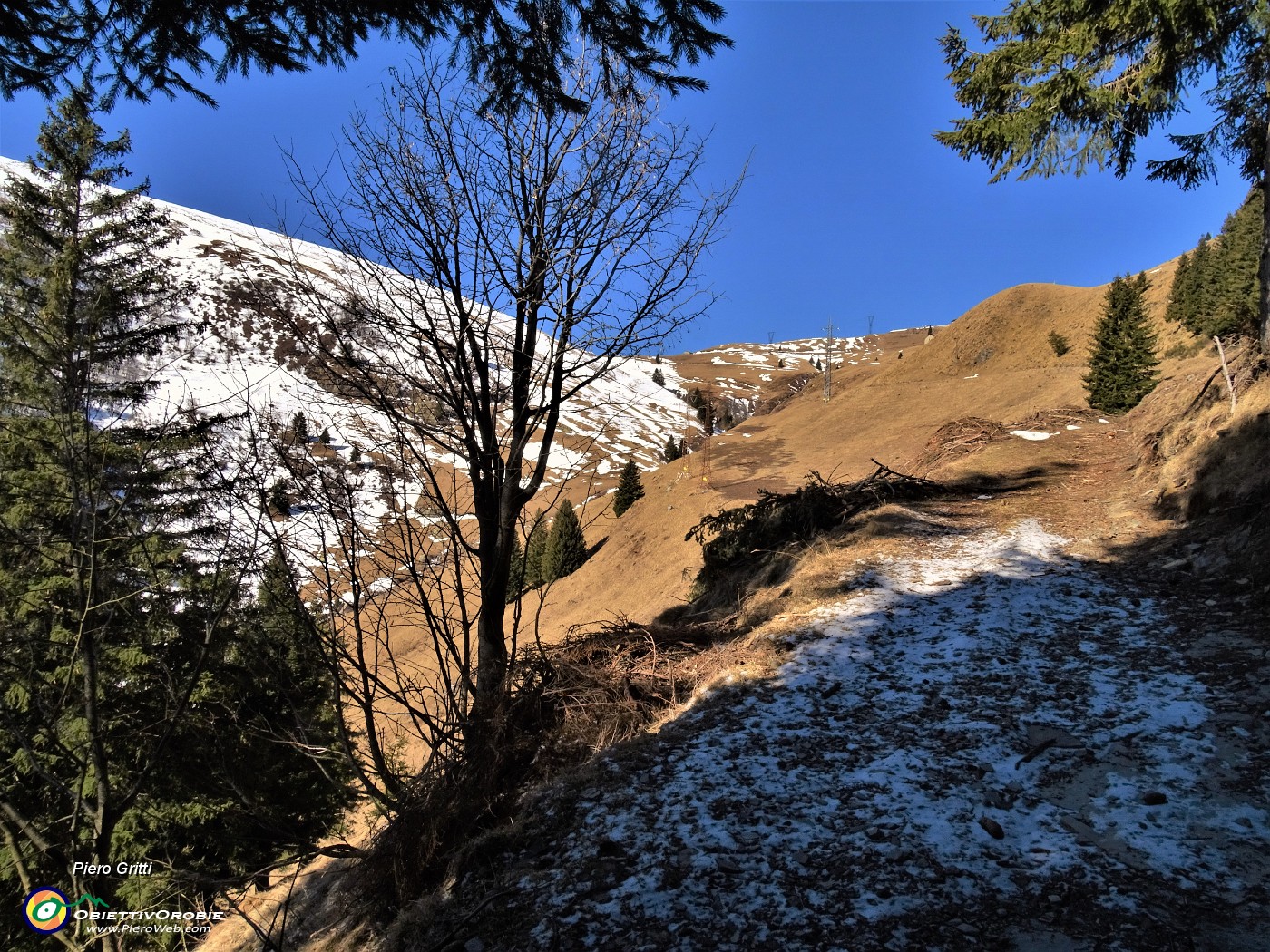 13 In uscita dal bosco-abetaia.JPG